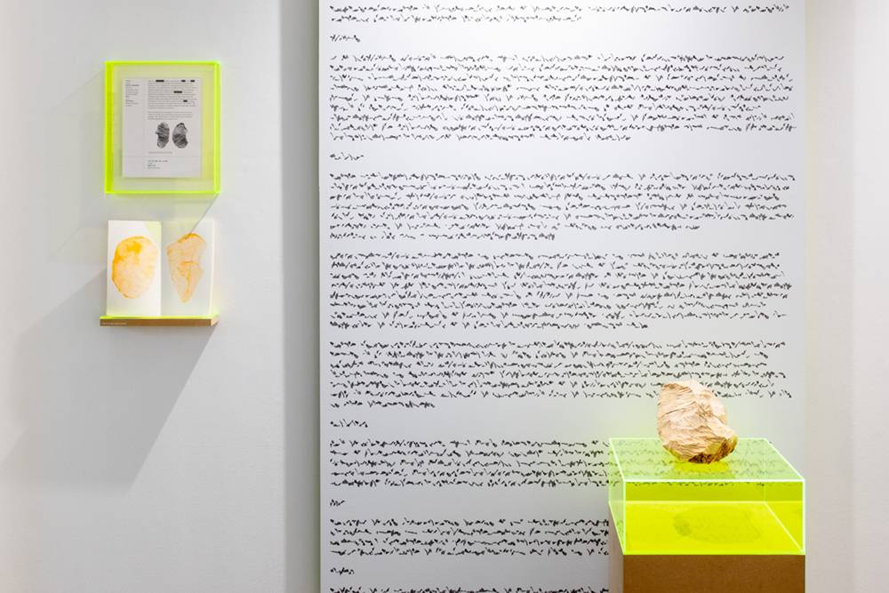 Marianne Hoffmeister Castro. CASTOR typeset. Typeset specimen, beaver-made log and printed publication. Dimensions variable. Hoffmitz Milken Center for Typography, ArtCenter, Pasadena, 2023. Installation view.